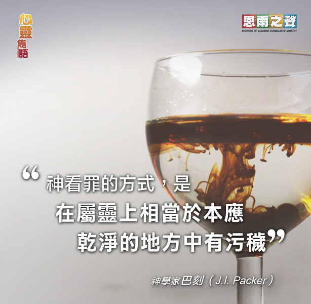 “神看罪的方式，是在屬靈上相當於本應乾淨的地方中有污穢。” 神學家巴刻(J. J. Parker)
