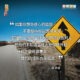 “如果你想走信心的道路，不要期待你能透視未來。在曠野，神用雲柱火柱帶領以色列人，但他們不知道雲柱火柱何時升起、升起之後往哪裏走。我們的情形也是如此。”— 戴德生
