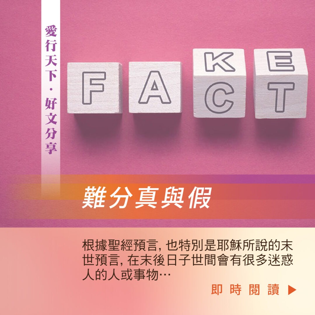 難分真與假