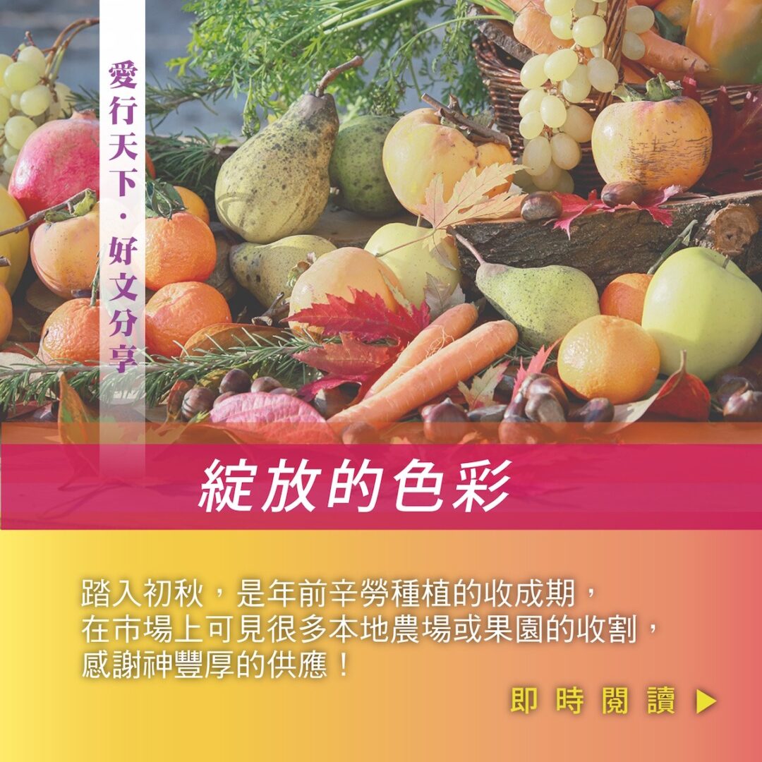恩雨之聲– 生命關顧– SOBEM LifeCare Ministry