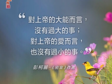 “對上帝的大能而言，沒有過大的事；對上帝的愛而言，沒有過小的事。” — 彭柯麗 -《密室》作者