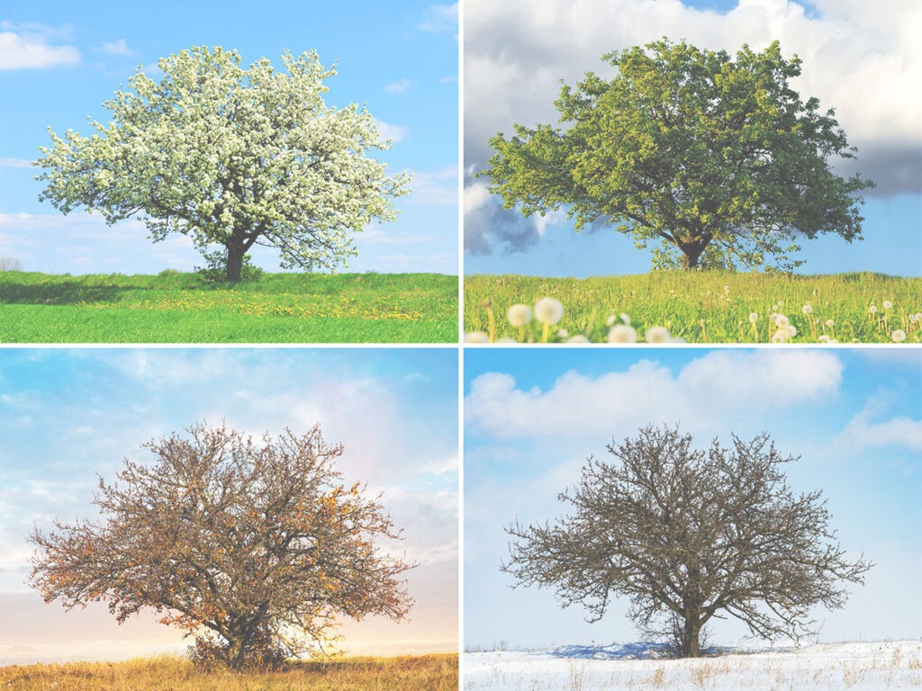 甘於面對受經歷人生的季節，上帝會看為美好的！