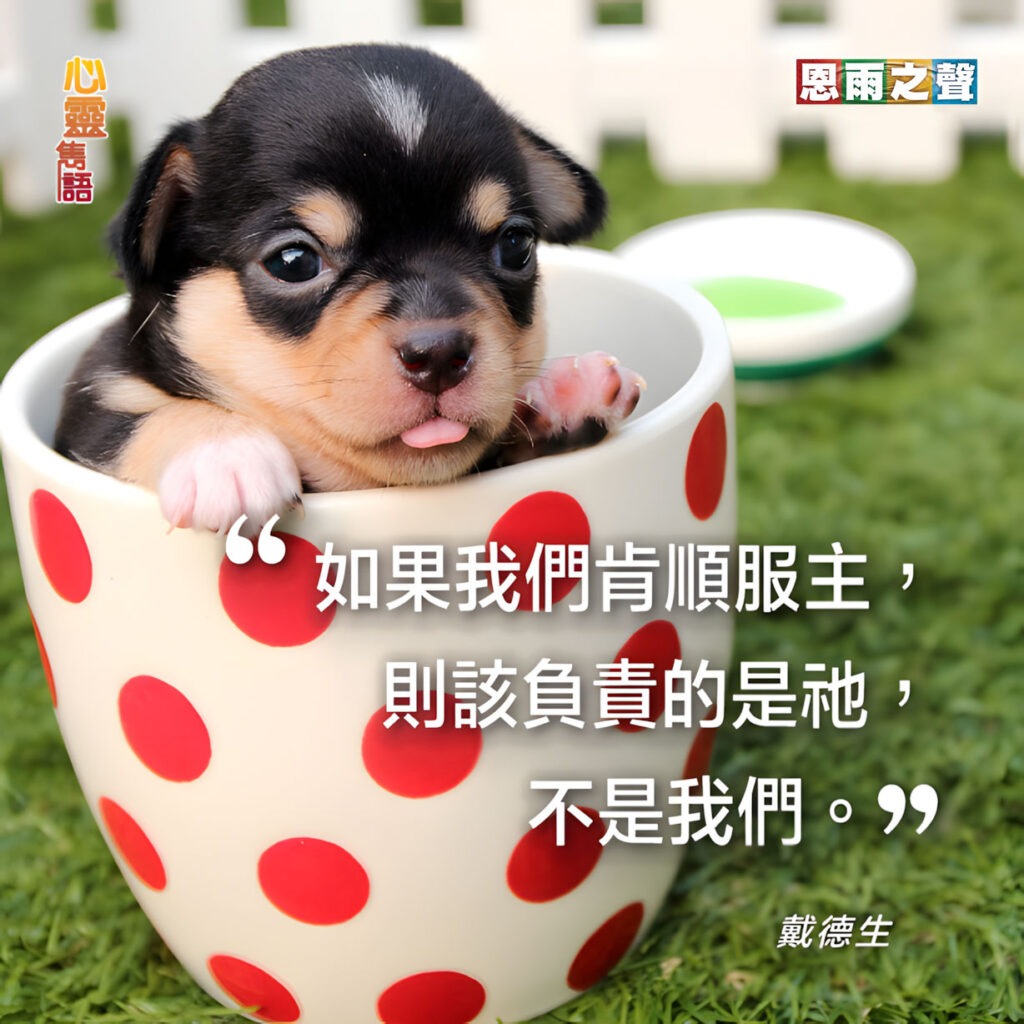 “如果我們肯順服主，則該負責的是祂，不是我們。” — 戴德生