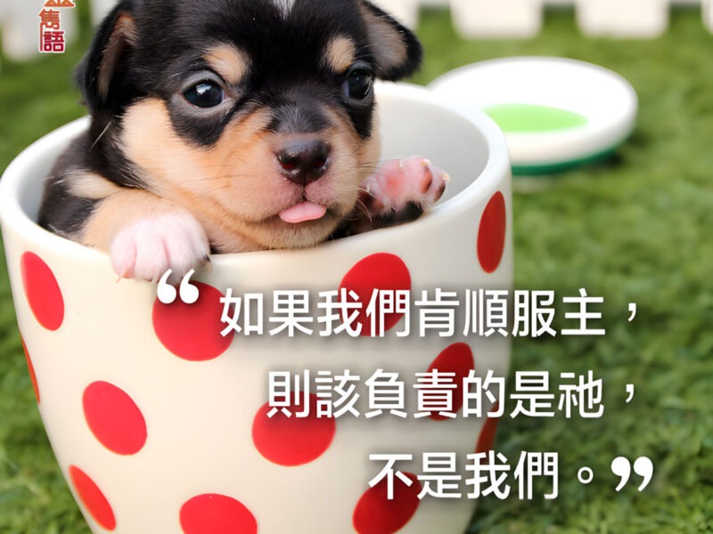 “如果我們肯順服主，則該負責的是祂，不是我們。” — 戴德生